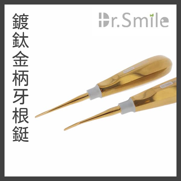 【特價$600】鍍鈦牙根鋌